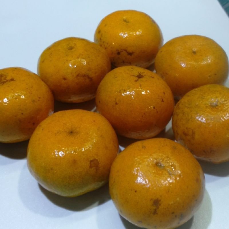 

BUAH JERUK SUPER 1 KG