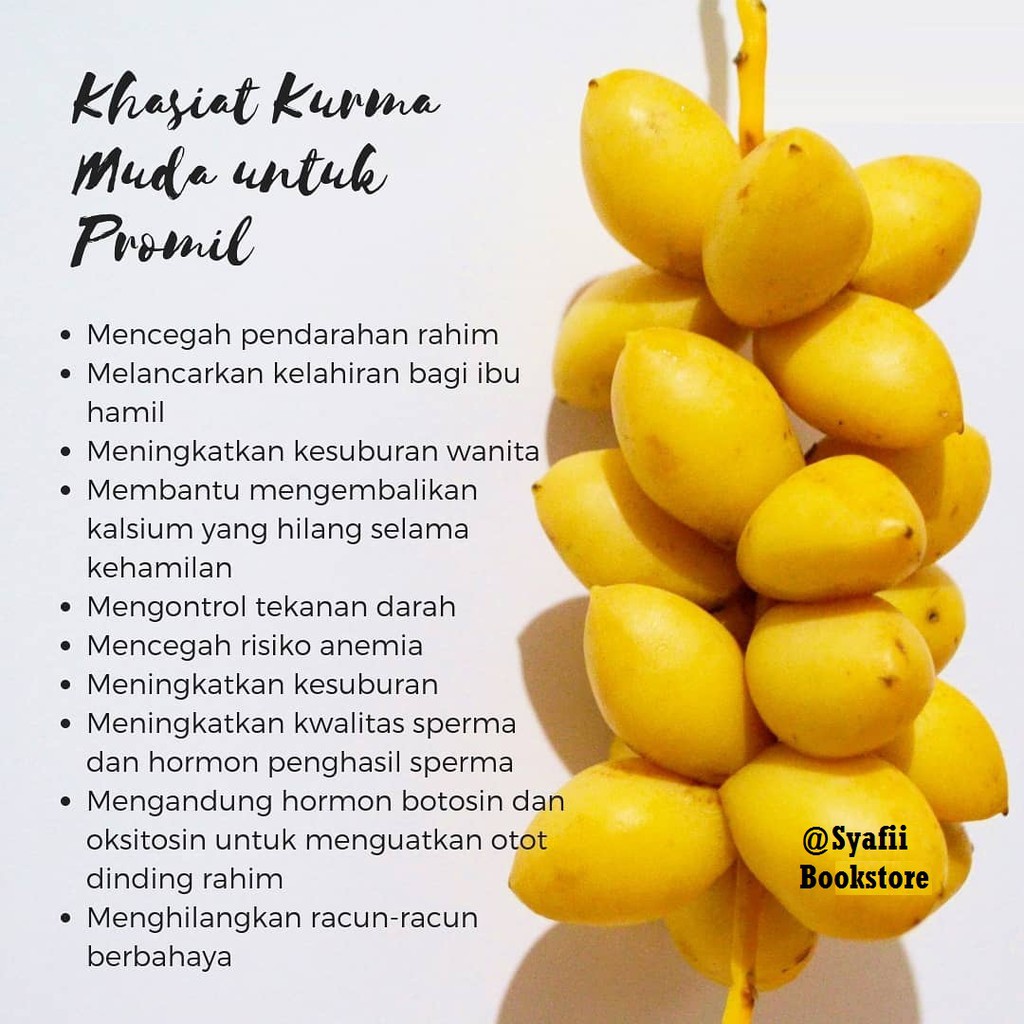 Kurma Muda Kuning Segar Untuk Promil Indonesia