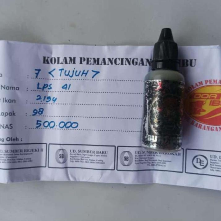 Harga Bersahabat.. ESSEN BUTO IRENG X-PIRATES MANCING NILA
