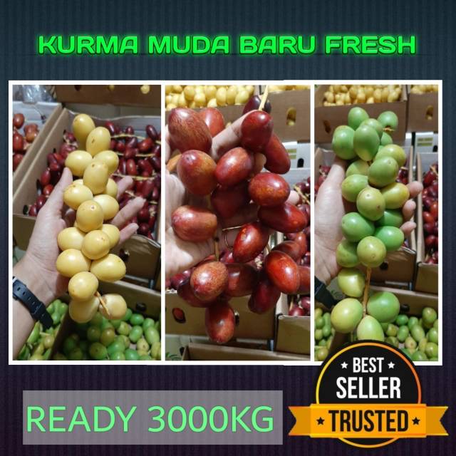 

1 KG HANYA 180RB KURMA MUDA FRESH BARU