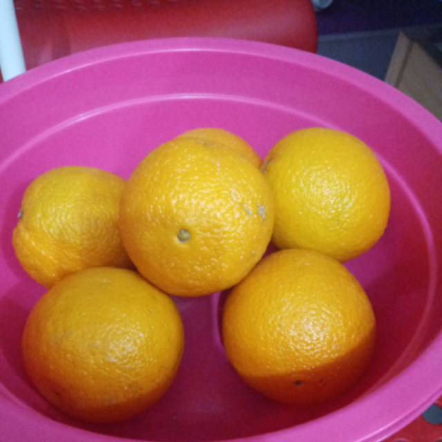 

Jeruk sunkist