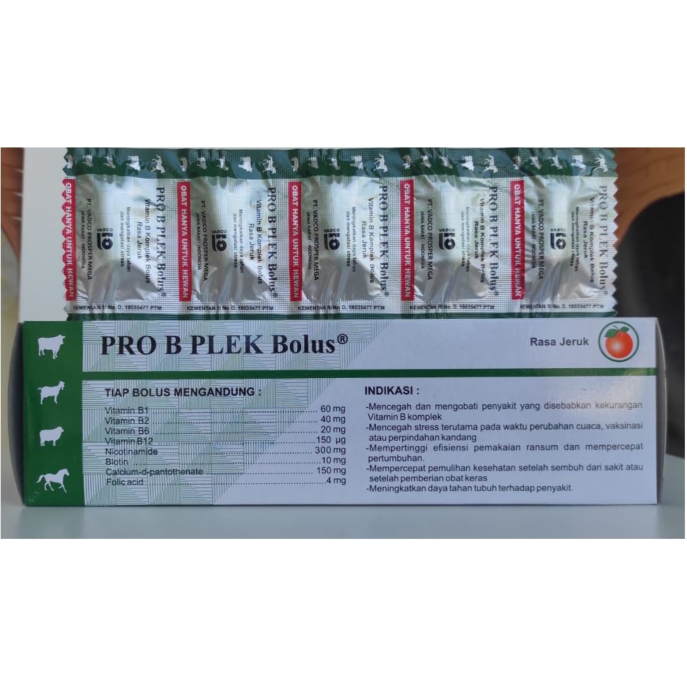 PRO B PLEK BOLUS 1 PCS RASA JERUK  - Vitamin B kompleks Hewan Sapi Kambing Domba