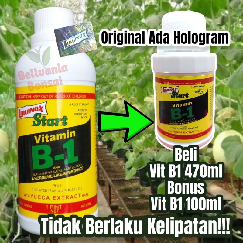 Jual Vitamin B1 Tanaman Liquinox 470ml Beli 1 Gratis 1 B1 100ml ...