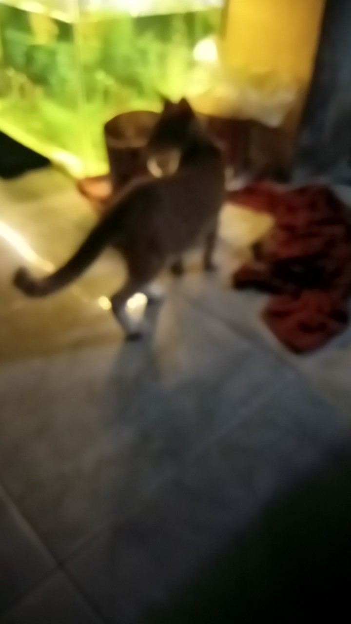 Batik Couple Set Nawang Ayu Ori Atasan Kebaya Ndoro Jowi Kebaya Tunangan Wisuda Prewed Lamaran