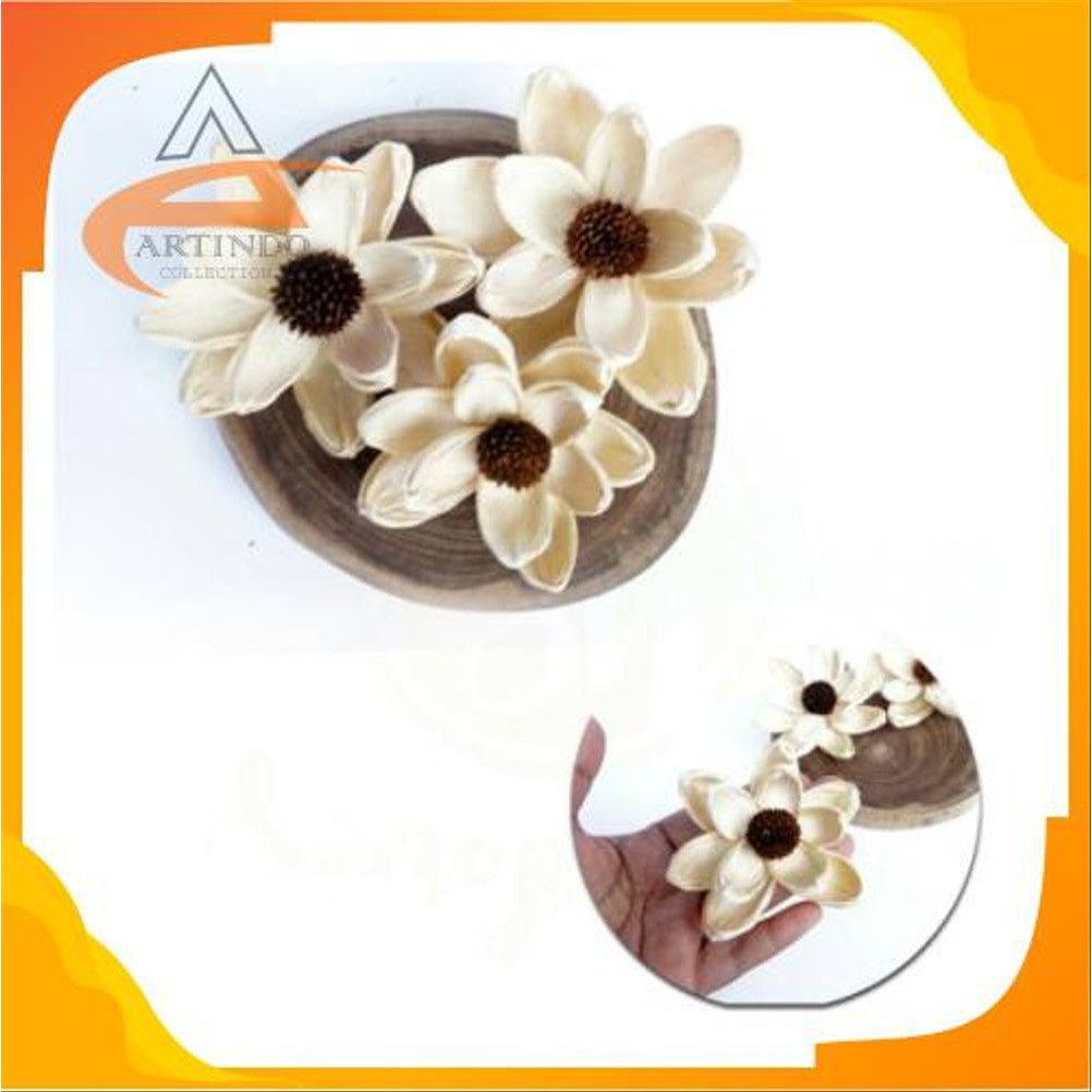 

Promo BUNGA KLOBOT KERING BAHAN KERAJINAN Diskon