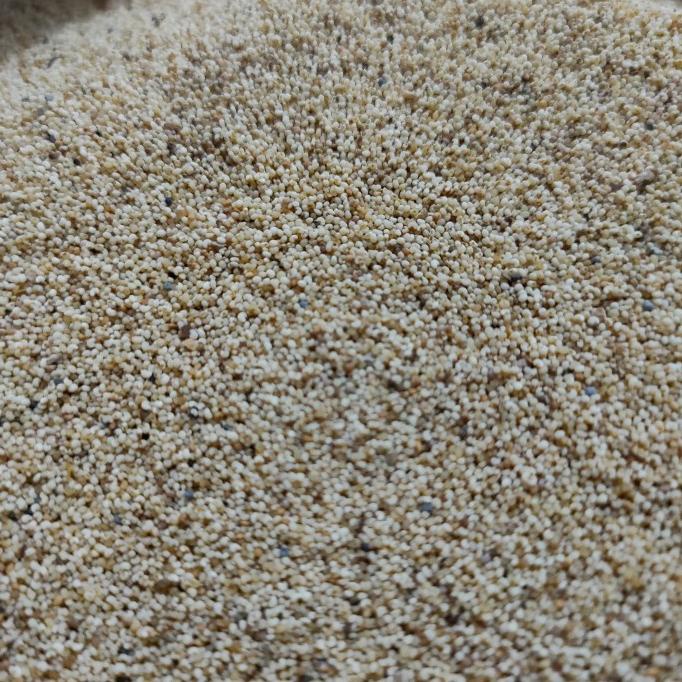 

] kaskas poppy seed 1 Kg