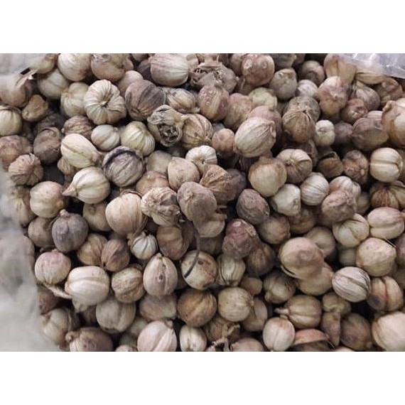 

Produk Unggulan Kapulaga 1/2 Kg