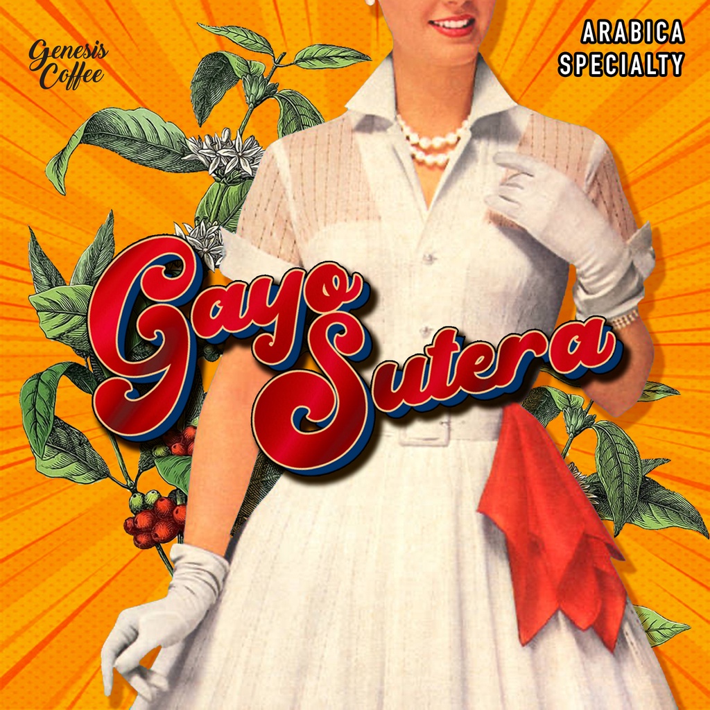 

Arabica Specialty / Gayo Sutera