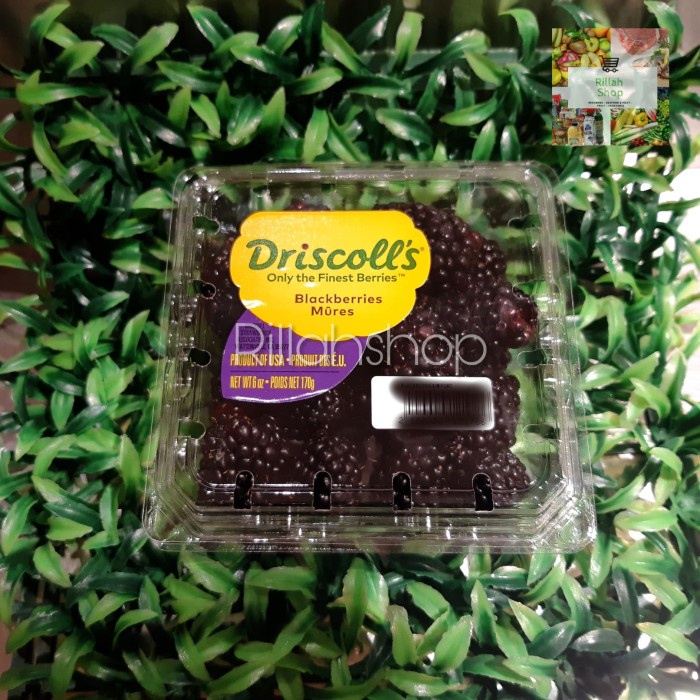 

Buah Blackberries Pack (170 gram)