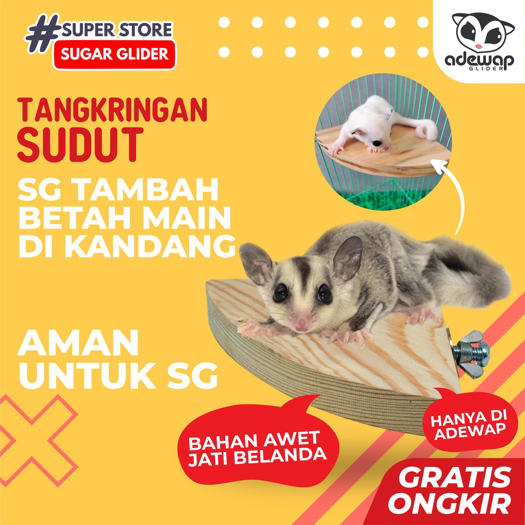 ADEWAP GLIDER Tangkringan Standing Sudut Kandang Sugar Glider
