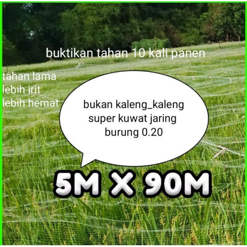 Jaring burung sawah 0.20 senar tebal jaring burung tekujur jaring burung emprit Jaring padi