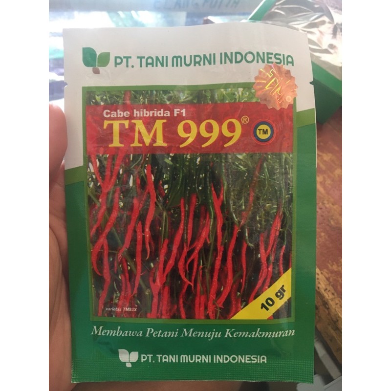 Benih cabe keriting TM 999