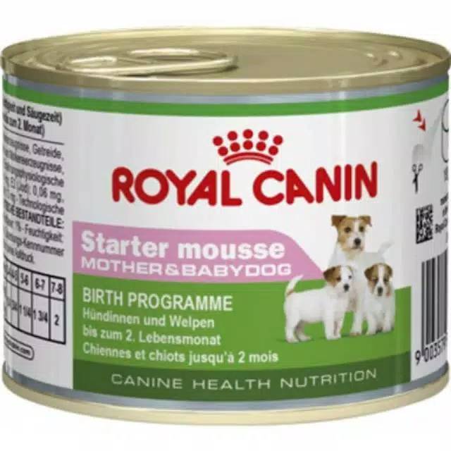 Royal Canin starter mousse