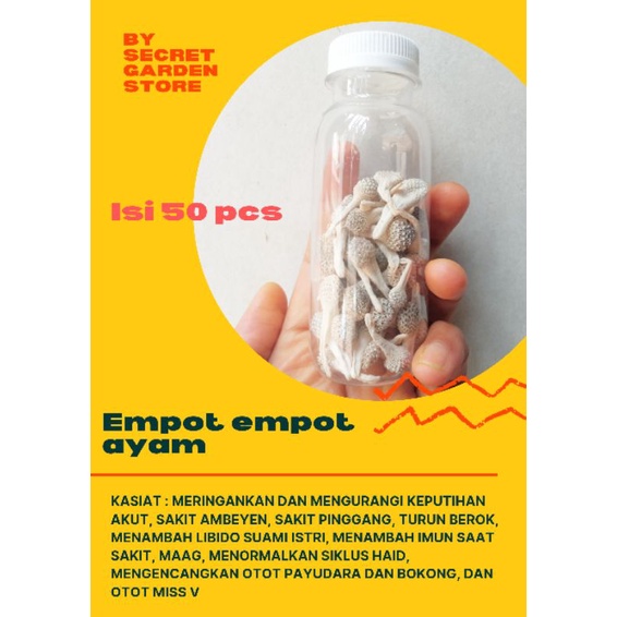

Empot Empot Ayam [ Tanaman Laut ] Rempah Rempah Kering Alami Herbal Tradisional By Secret Garden Store