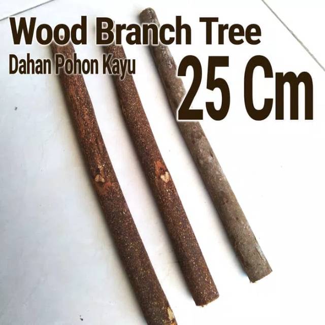 Wood Branch Tree 1-2x25 Cm Dahan kayu potongan kayu bahan craft dekor