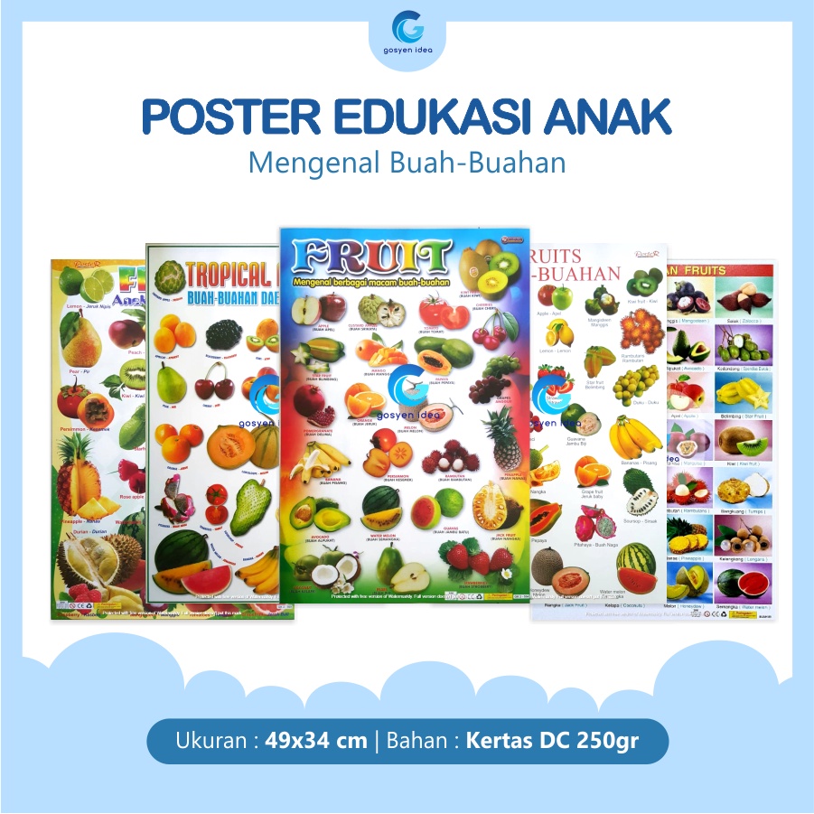 Poster Dinding Pendidikan Edukasi Anak Belajar Gambar Buah Buahan Fruits