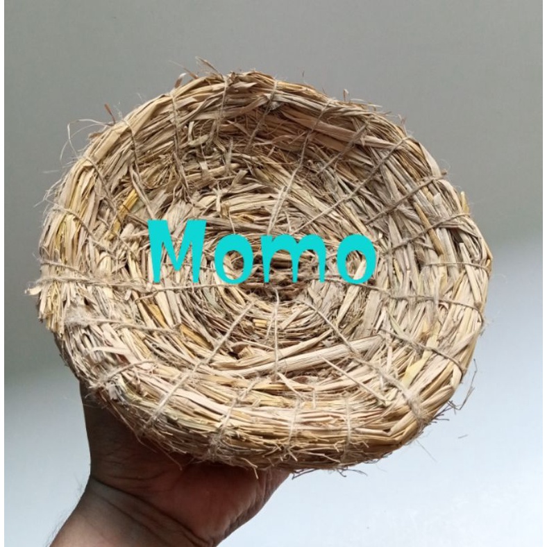 Sarang jerami ayam kate