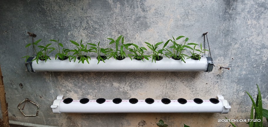 Klem Uk.2.5 Klamp 21/2 Inchi  Klem Pipa Hidroponik