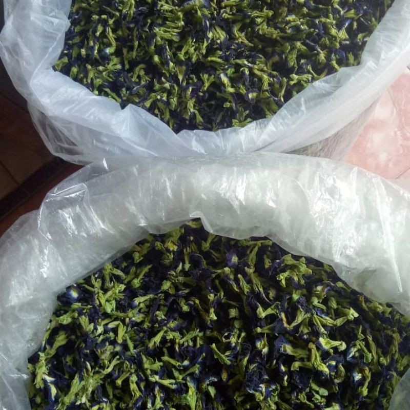 

Termurah bunga Telang kemasan 100 grm