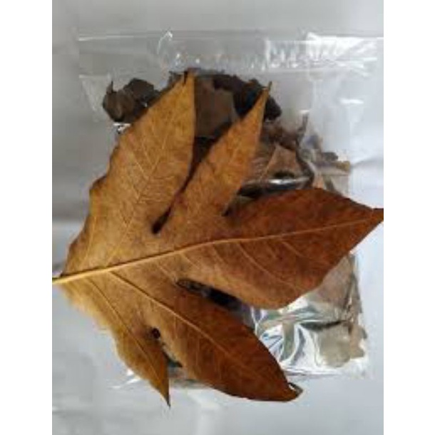 

Daun Sukun Kering 250 gram