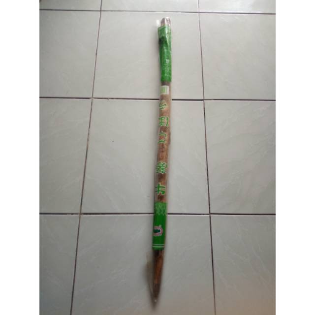 

Sayur Sayuran Akar Umbi Gobo Burdock Root Burdoch Dhubard Ketela Jepang