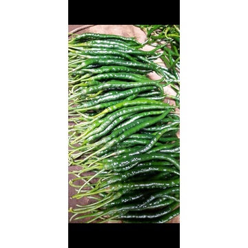 

Cabe keriting hijau / cabe ijo 100gram
