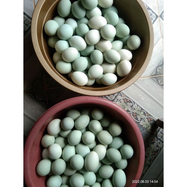 

Telur Bebek Asin Biasa