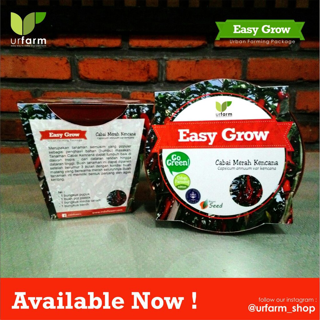 Easy Grow_Cabai Merah Kencana