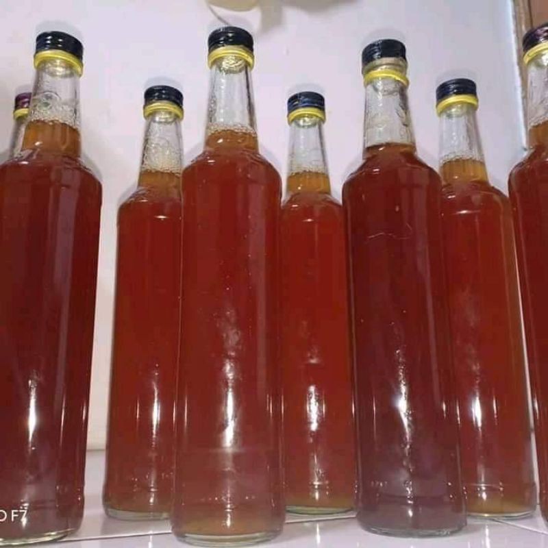 

Madu sumatera tawon liar (madu pohon sialang)