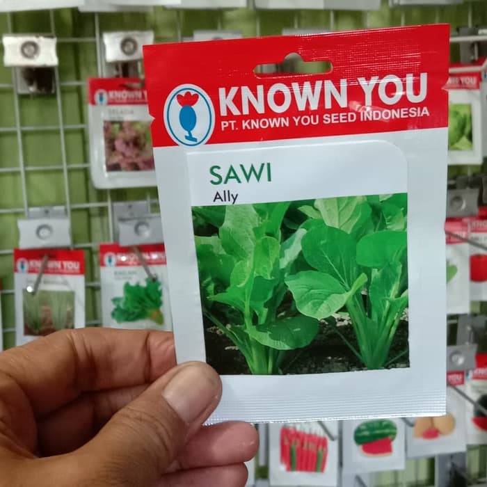 

Unik Benih Sawi ALLY Known You Seed Berkualitas