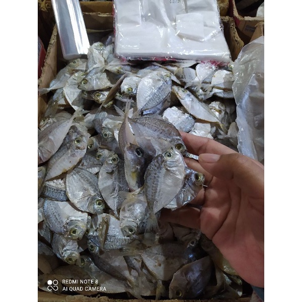 

ikan asin petek murah 100g