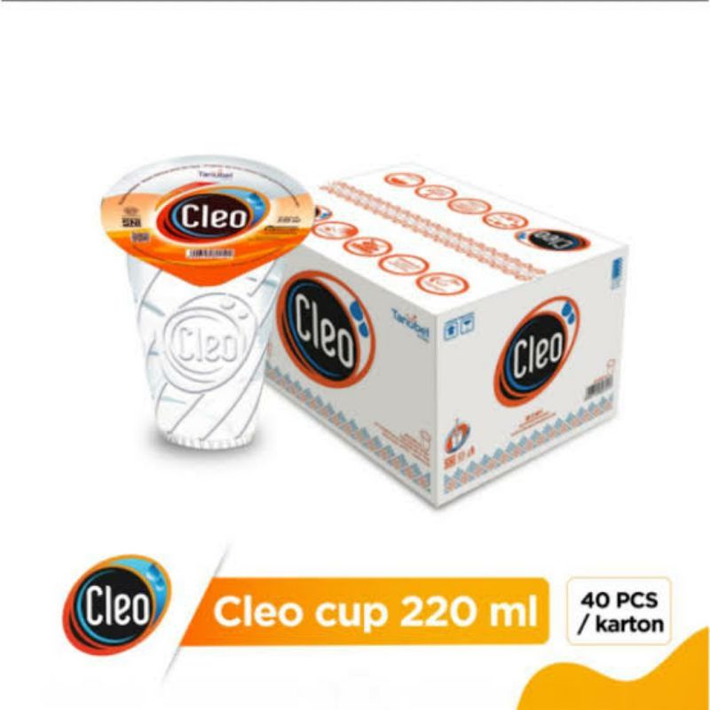 1 Dus Air Mineral Cleo Kemasan GELAS 220mL (Isi 40)