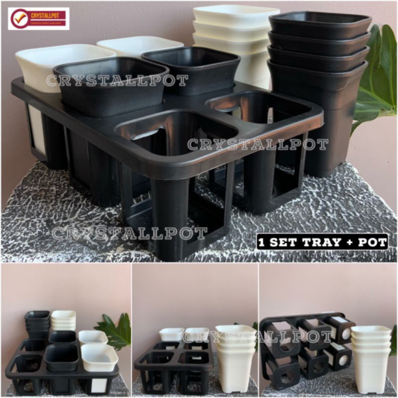 1 set Tray + pot bunga tanaman nkt kotak 8 cm | tray semai bibit