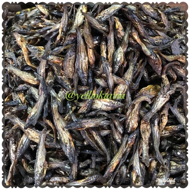 

Ikan Salai kecil