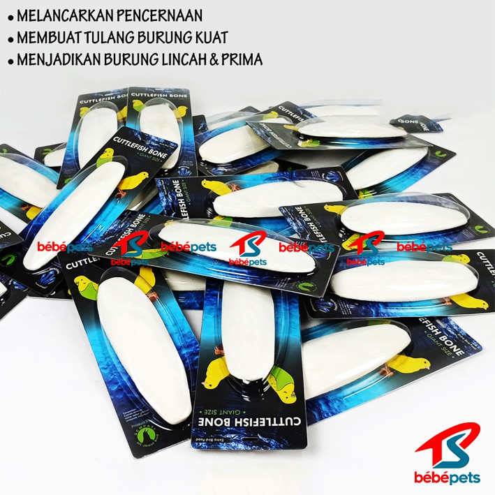 TULANG SOTONG CANGKANG ASINAN CUMI SUPER JUMBO PREMIUM CUTTLEFISH BONE