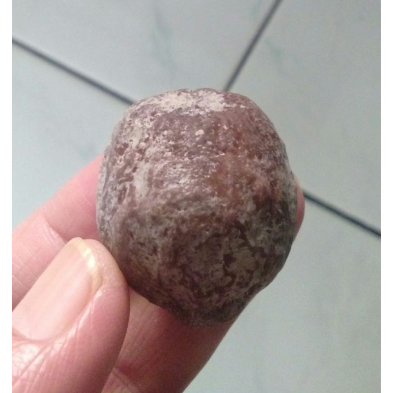 Muncang Adu Mayit Anak MU Full Tua