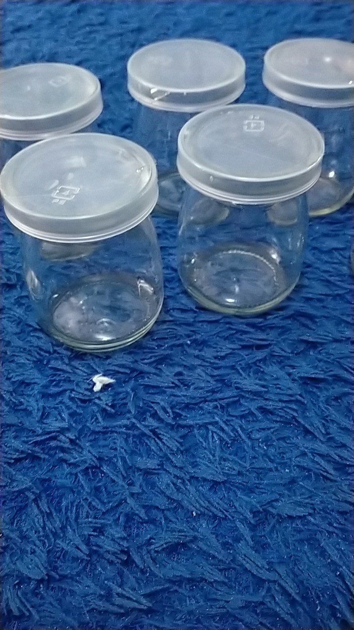 Botol Puding / Botol Kaca 100ml + Tutup