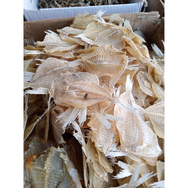 

ikan asin pakang tawar segar 500gr