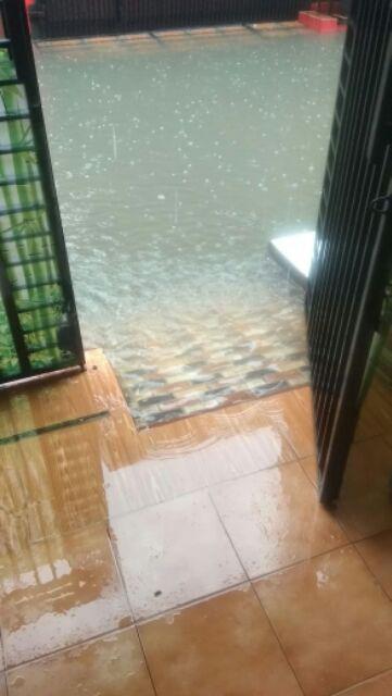 Mangkok Daun Plastik