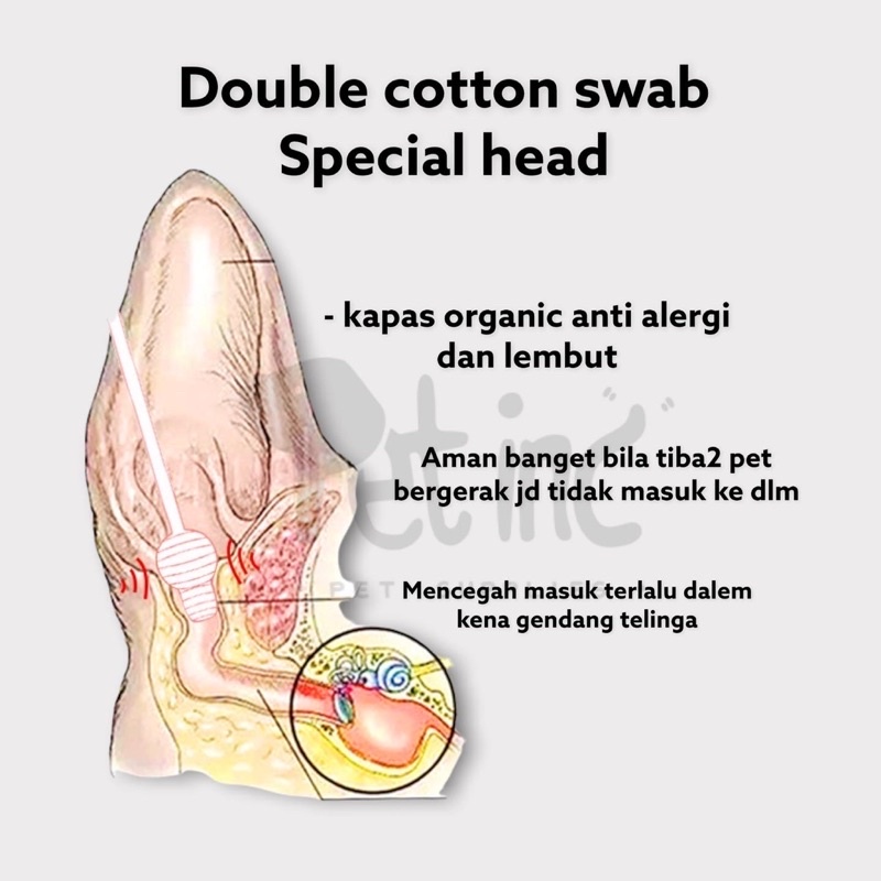 Kojima organic double cotton swab with big head isi 50pcs