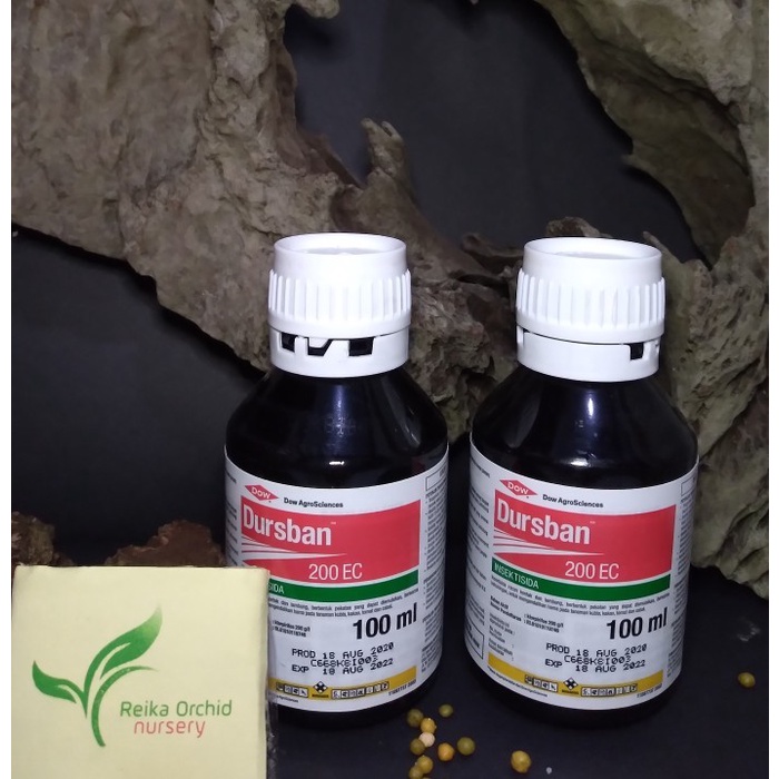 Insectisida Dursban 100ml