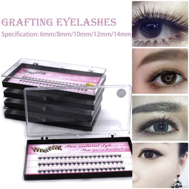 TKTX PUIE EYELASH EXTENSION RUSSIAN LASHES