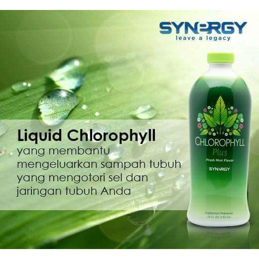 TUBUH-KEKEBALAN-SISTEM- PAKET HERBAL OBATI BATU EMPEDU & MENJAGA TEKANAN DARAH KARDIOVASKULAR