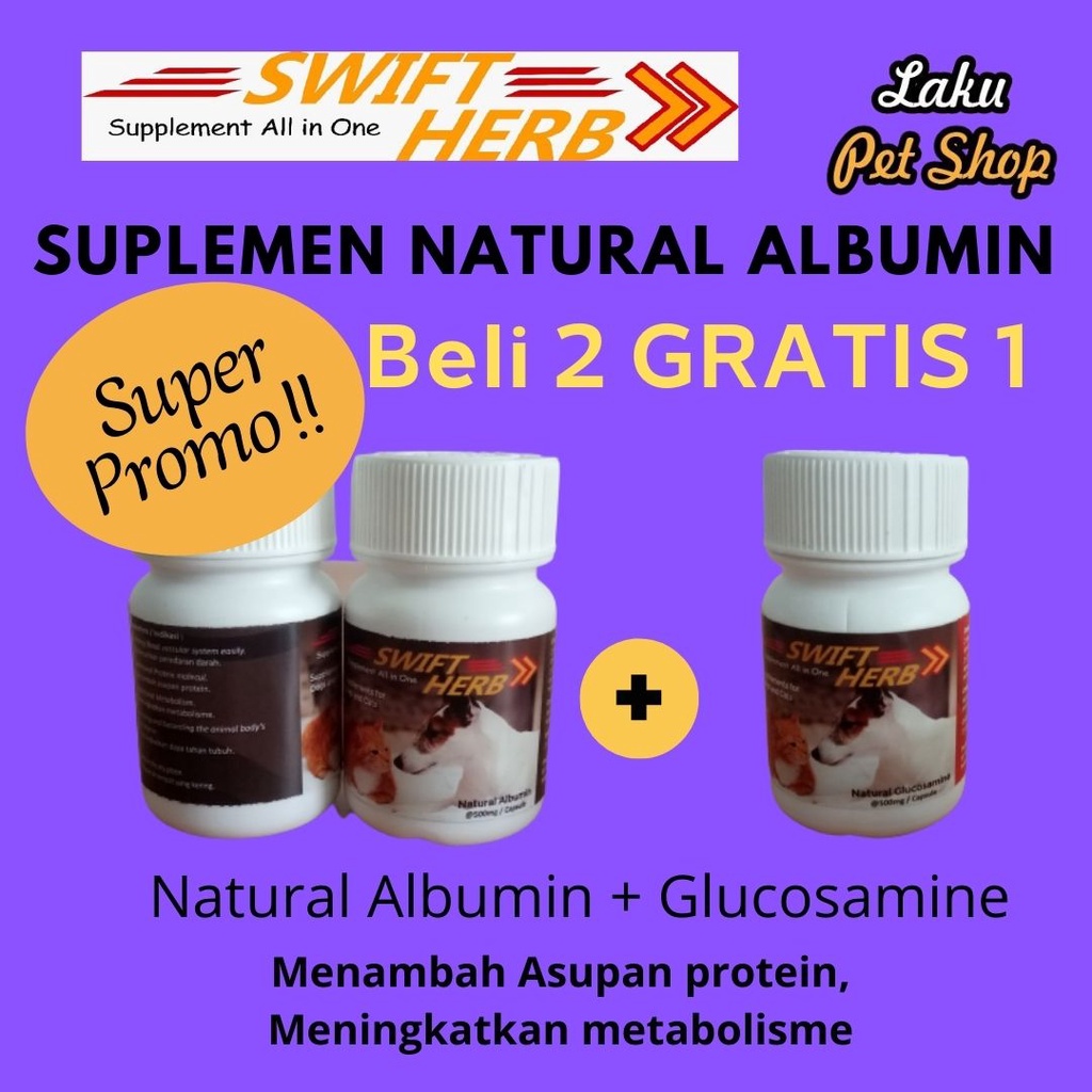 Vitamin Kucing Sakit Terbaik