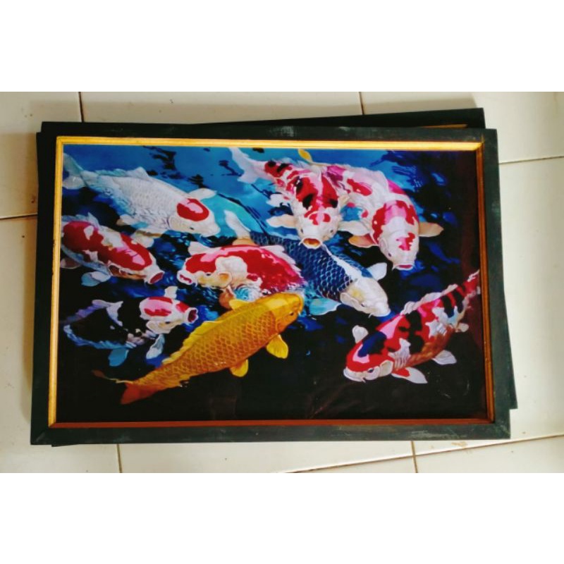 hiasan dinding lukisan cetak ikan koi kolam plus bingkai ukuran 65×45