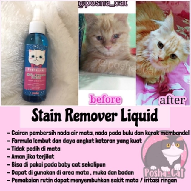Paket Anti stain (noda) posha_cat | isi 3 produk | skincare kucing