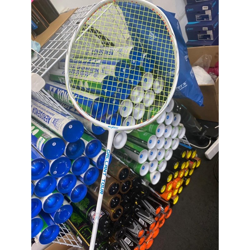 Raket Maxbolt Gallant tour New color original