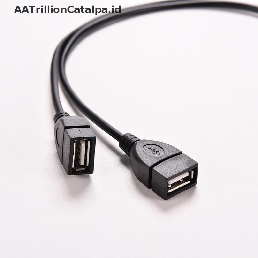 Aatrillioncatalpa Kabel Adapter Splitter Y USB 2.0 A Male Ke 2 Dual USB Female Jack Power