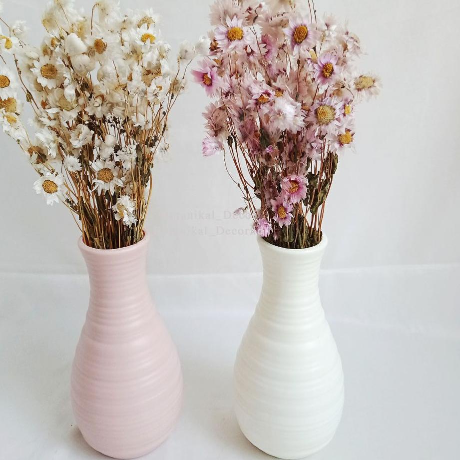 Besst BM#015.☛ Dried Flower Preserved Daisy Bunga Kering Rodanthe White Pink dekor hand buket bucket