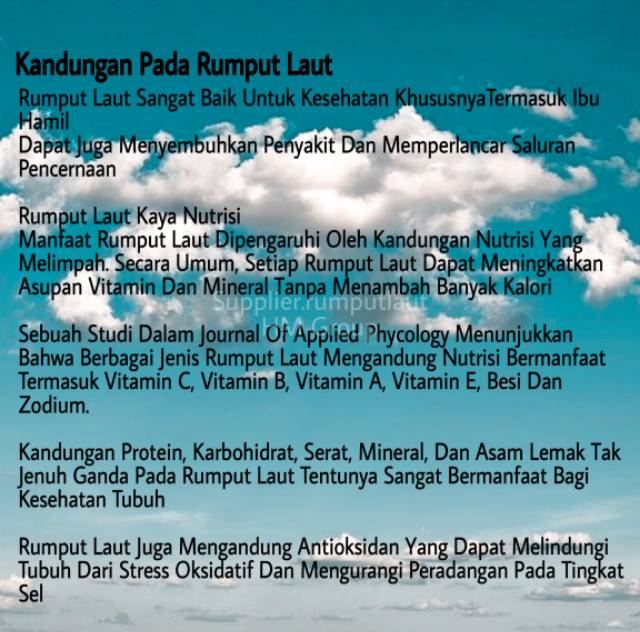 1kg Rumput Laut Merah Rumput Laut Untuk Parfum Walet Eucheuma Sosum Sp Cottoni Skripsi Ori Indonesia